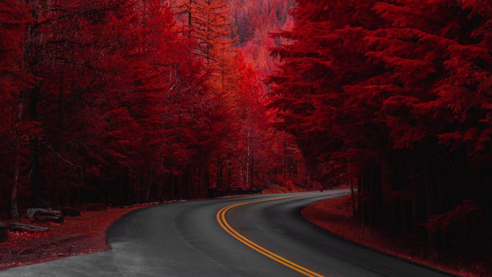 Crimson Forest Pathway wallpaper