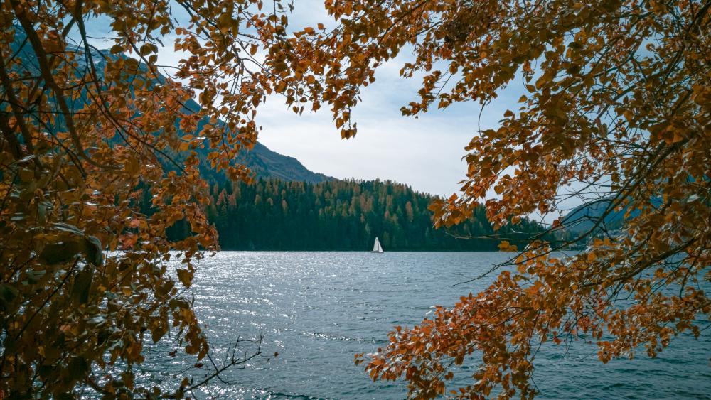 Autumn Tranquility by the Lake wallpaper