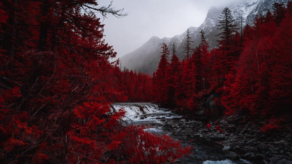 Mystic Red Forest Waterfall wallpaper