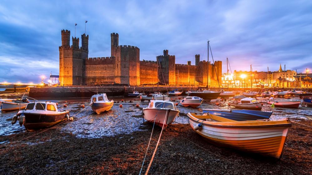 Caernarfon Castle wallpaper