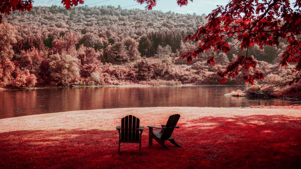 Serene Autumn Reflections in Nature wallpaper