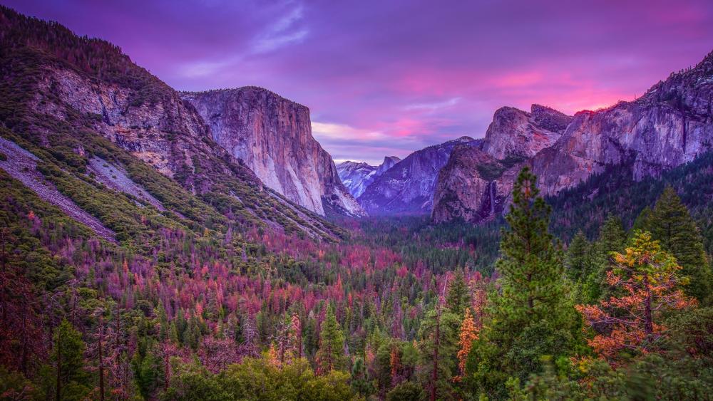 Yosemite Valley purple landscape wallpaper