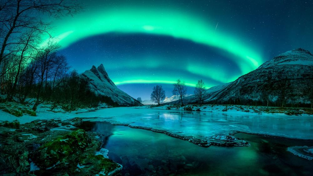 Enchanted Night Under the Northern Lights wallpaper