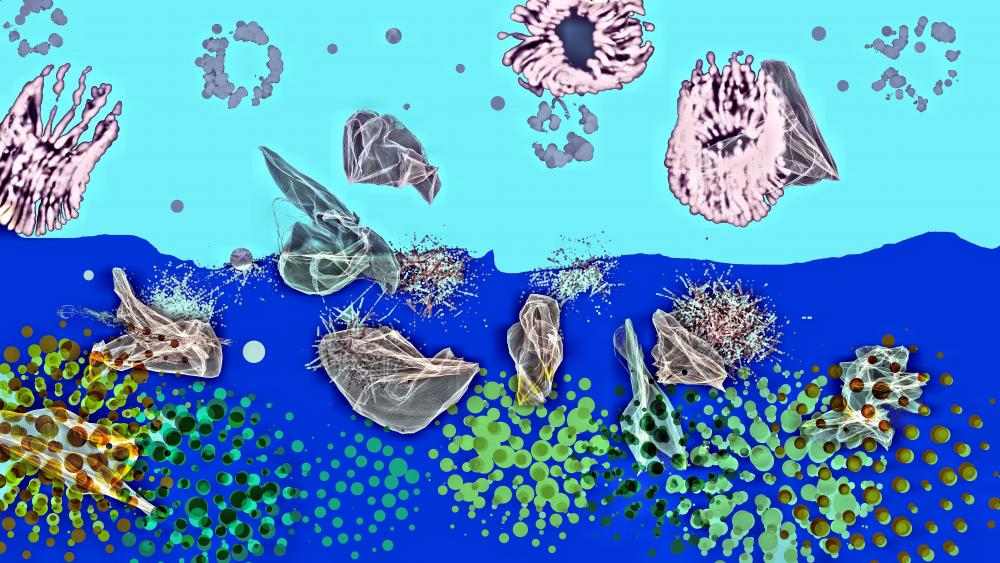 Jellyfish field wallpaper