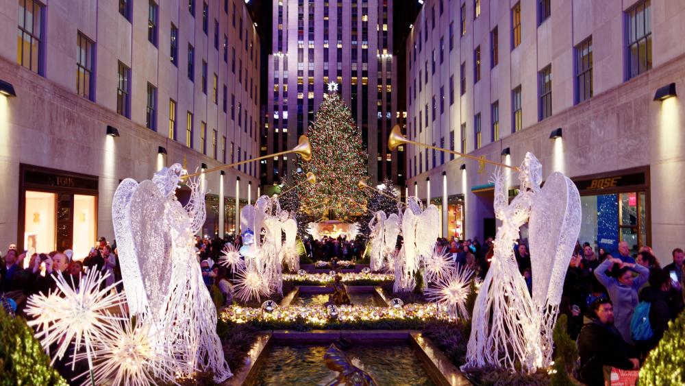 Rockefeller Center Christmas Tree in 2016 wallpaper