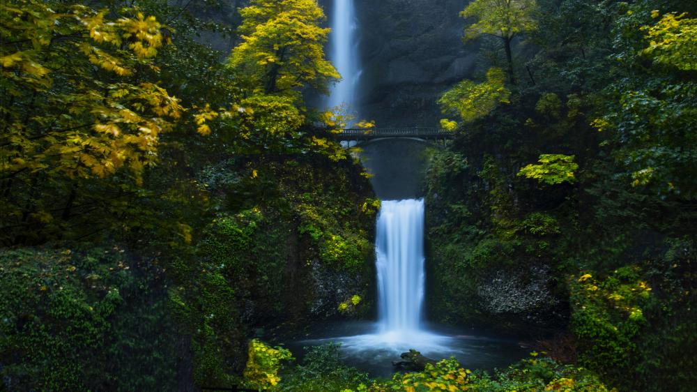 Mystic Waterfall Serenity wallpaper