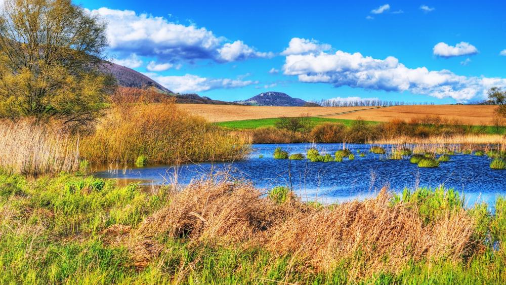 Nature's Marshland Canvas wallpaper