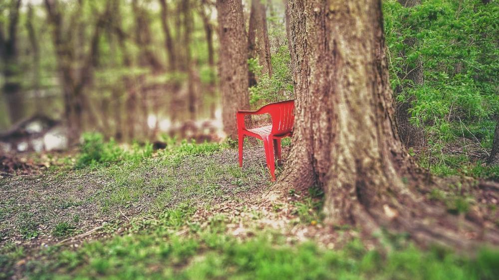 Red Chair of the Woods wallpaper