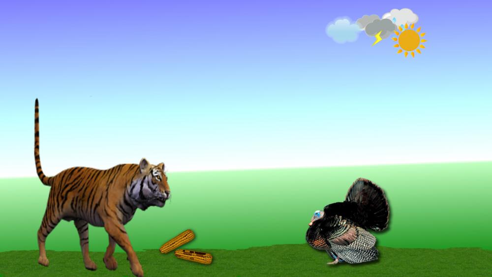 The tiger and the turkey wallpaper