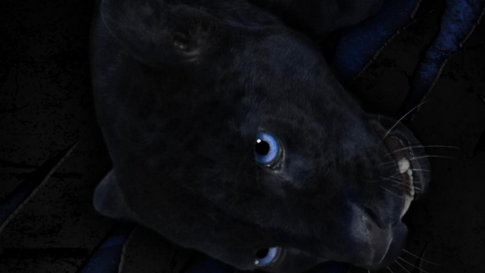 Black jaguar beauty blue eye wallpaper