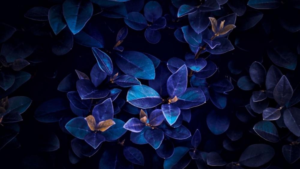 Blue leaves wallpaper