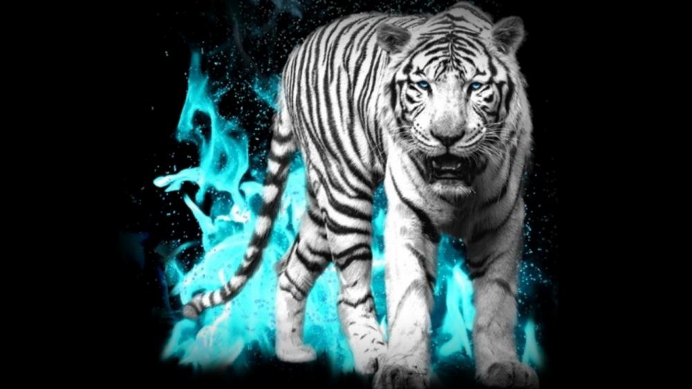 White Tiger in dark background wallpaper