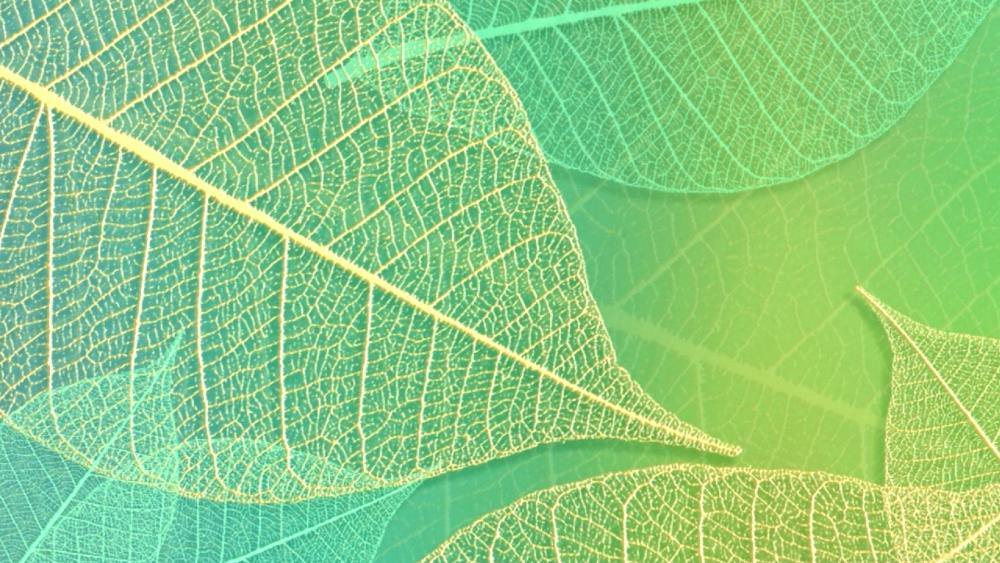 Green leaf pattern wallpaper