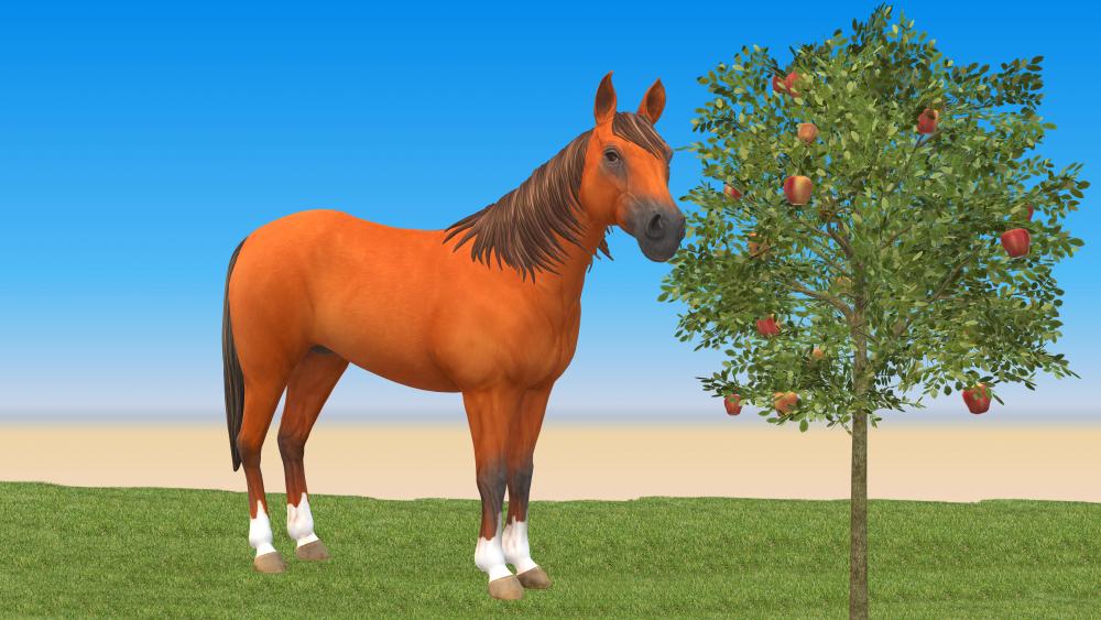Apple-eating horse wallpaper