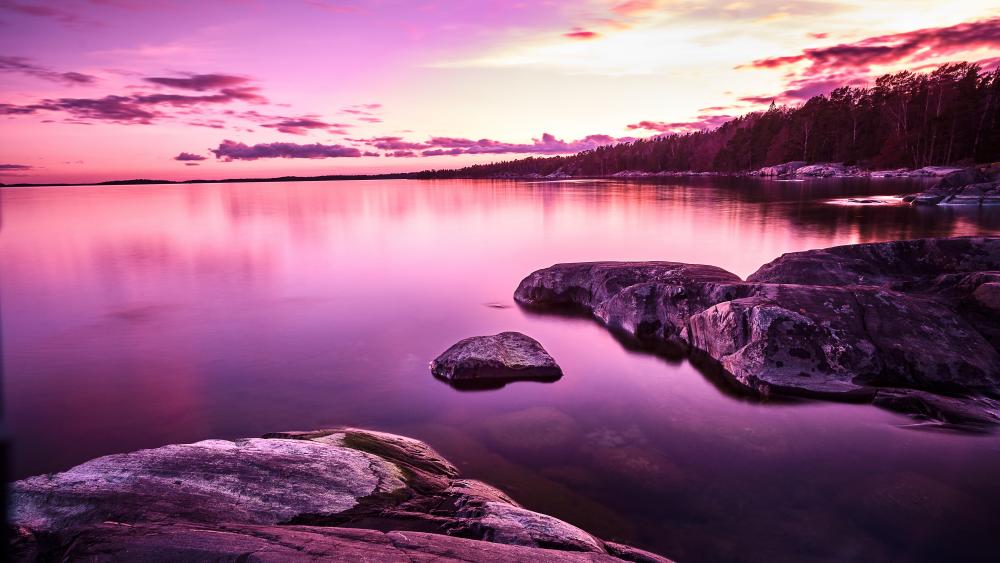 Purple sunset by the lake wallpaper