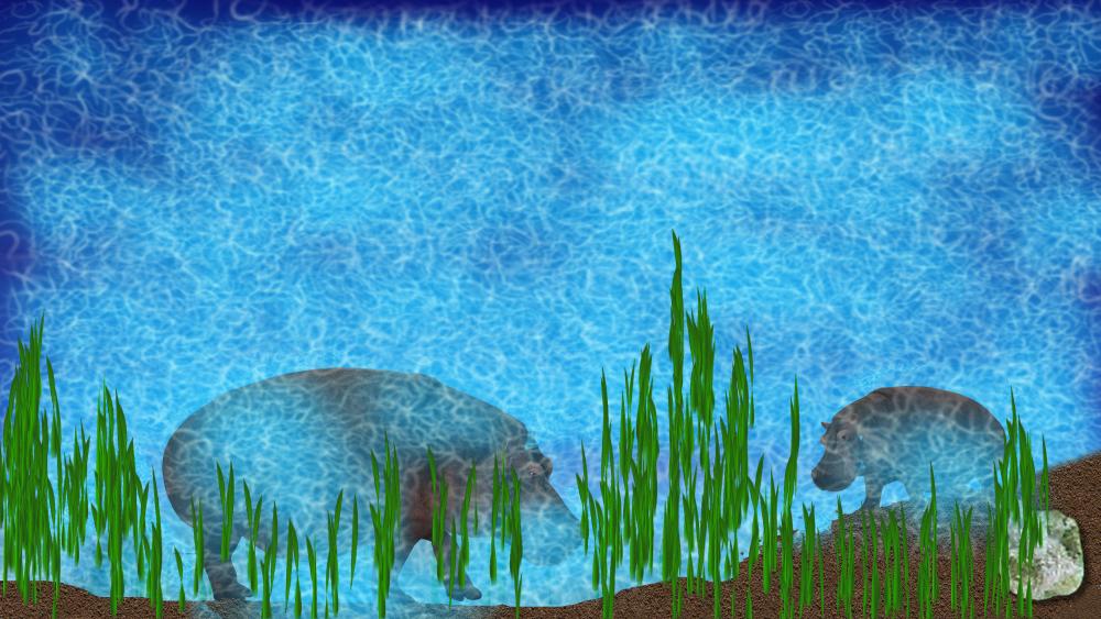 Hippopotamus in the river wallpaper