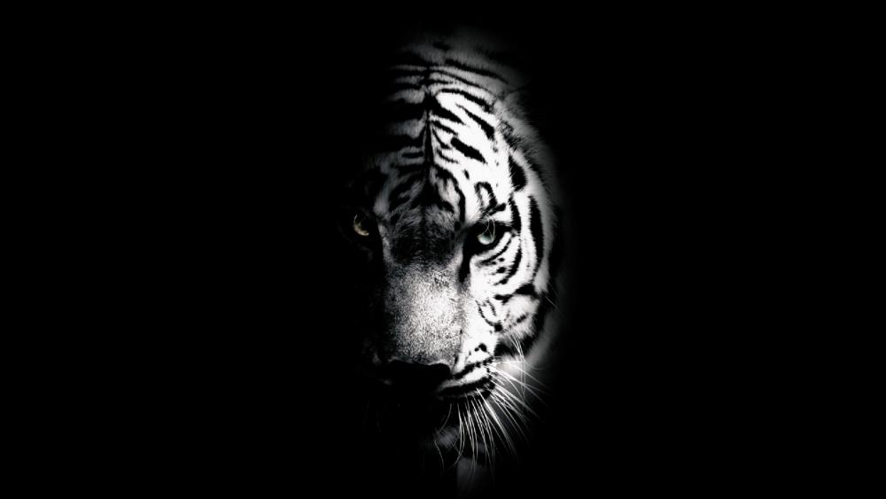 Tiger's face wallpaper