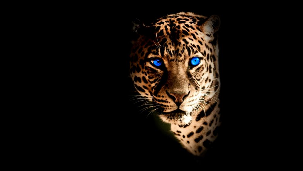 Blue-eye Yellow face Jaguar wallpaper