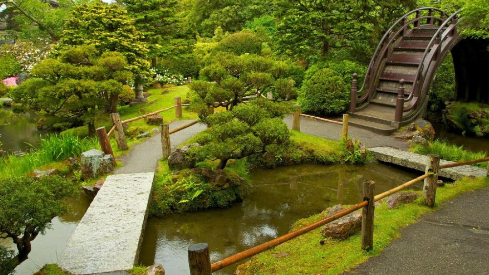 Tranquil Garden Pathway Blissful Serenity in Nature's Embrace wallpaper