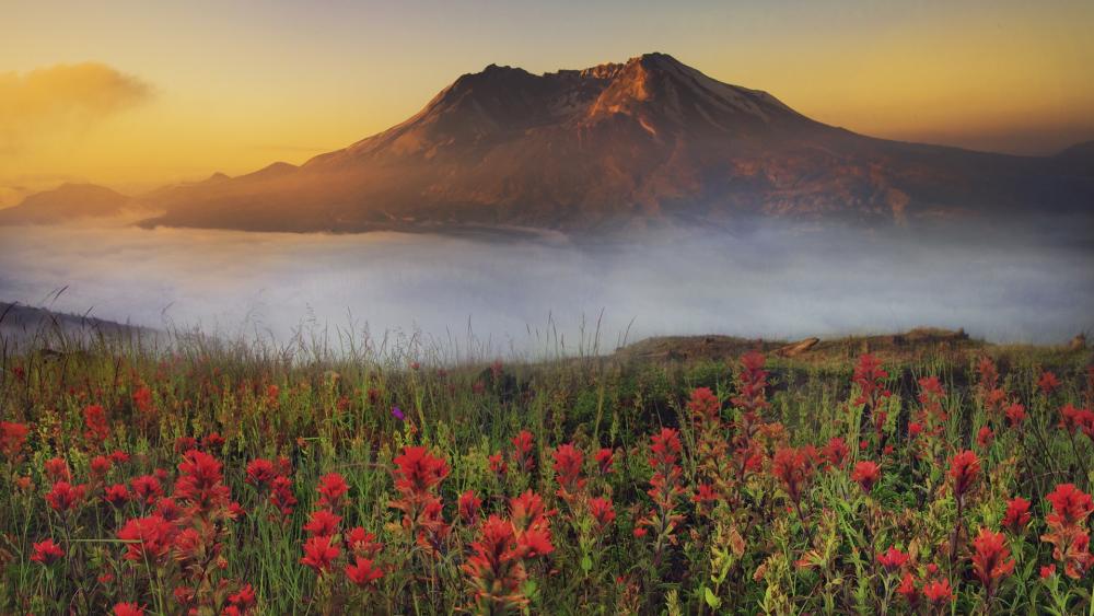 Majestic Mountain with Vibrant Wildflowers wallpaper