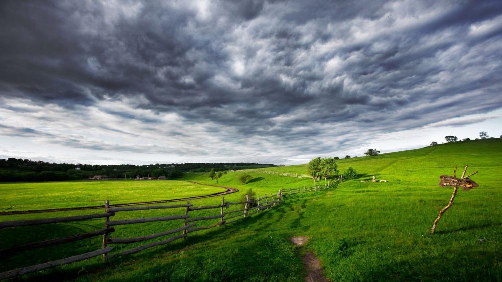 Serene Meadow Under Dramatic Clouds wallpaper