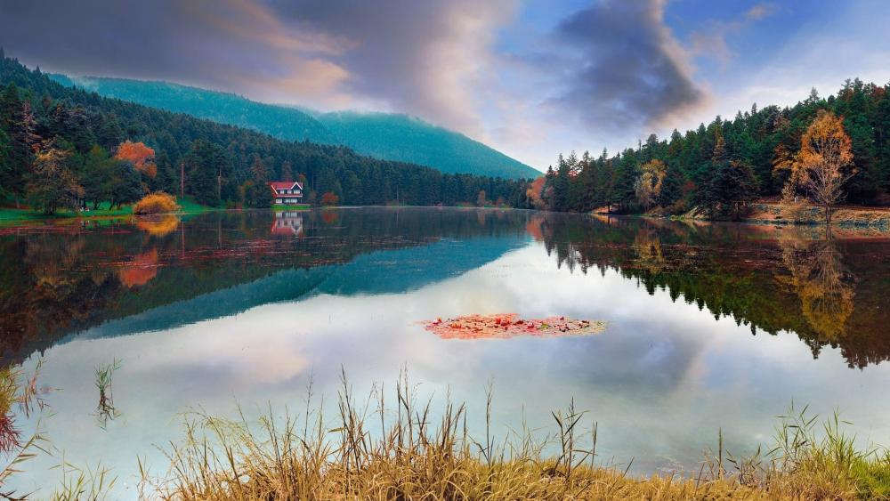 Tranquil Lakeside Serenity in Autumn Colors wallpaper