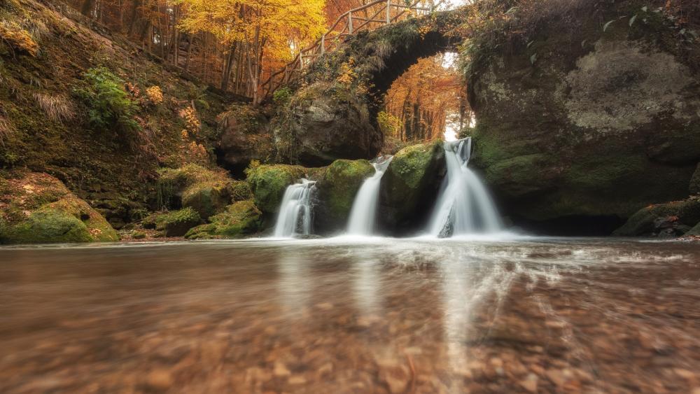 Wallpaper from nature category