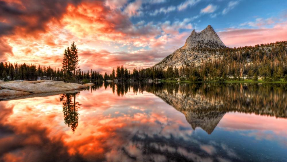 Wallpaper from nature category