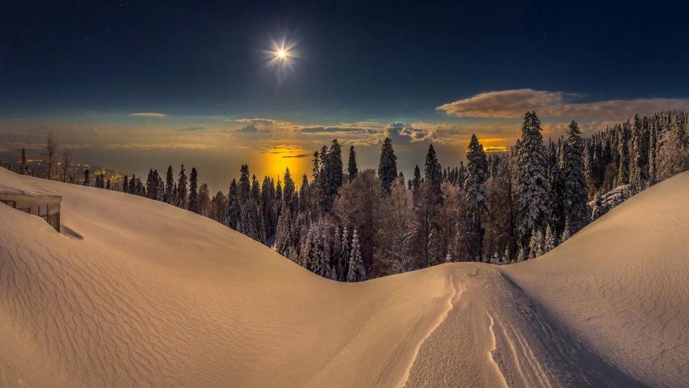 Serene Winter Landscape Under a Starry Night Sky wallpaper