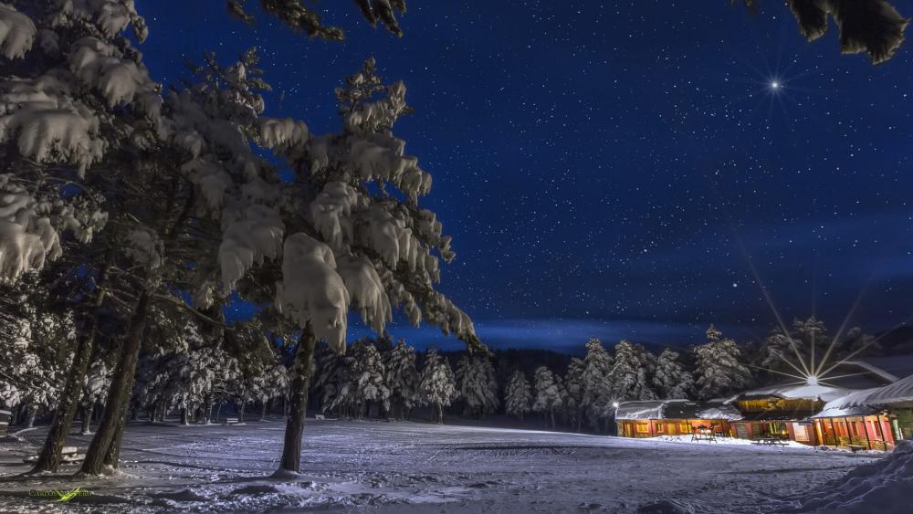 Winter Night Under a Starry Sky wallpaper