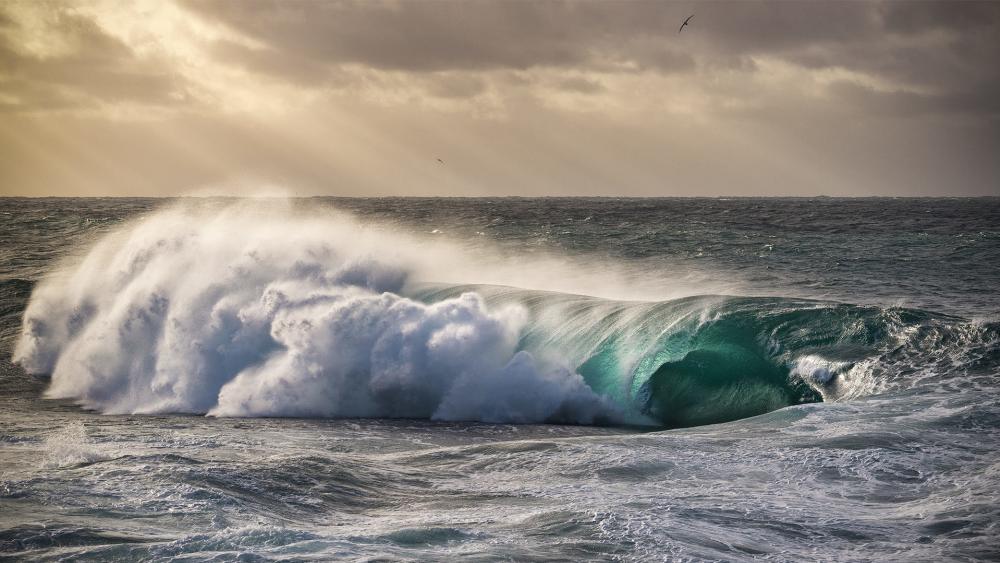 Majestic Sea Waves Under Dramatic Skies wallpaper