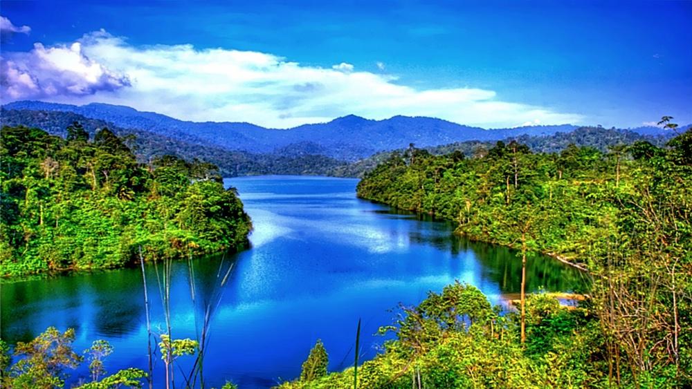 Serene Reflections of Nature's Beauty wallpaper