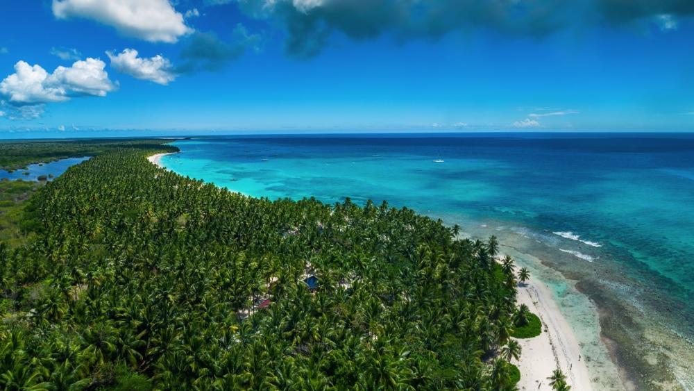 Tropical Paradise Overlooking Crystal Clear Waters wallpaper