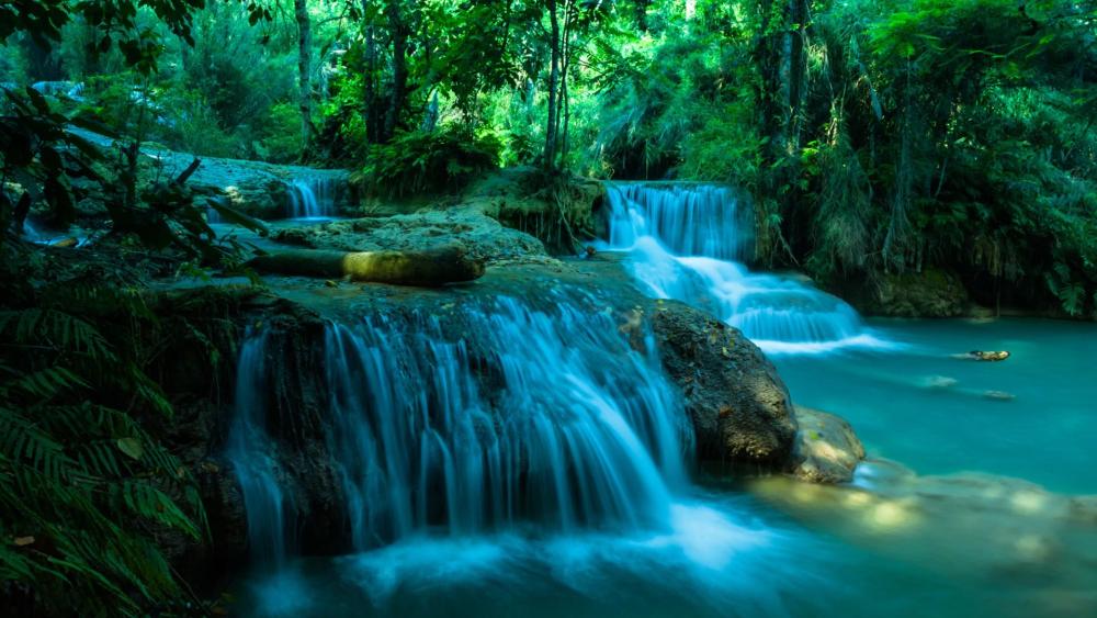 Serene Cascading Waterfalls in Lush Forest wallpaper