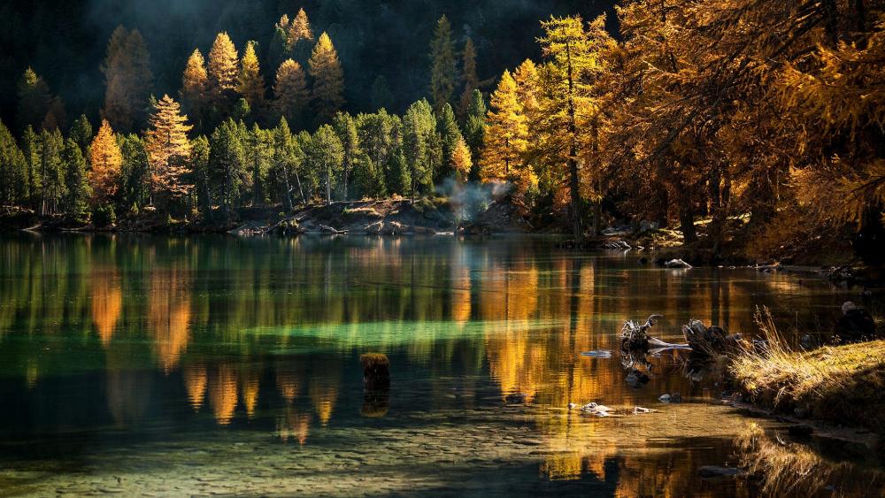 Autumn Serenity Reflections in Nature's Canvas wallpaper