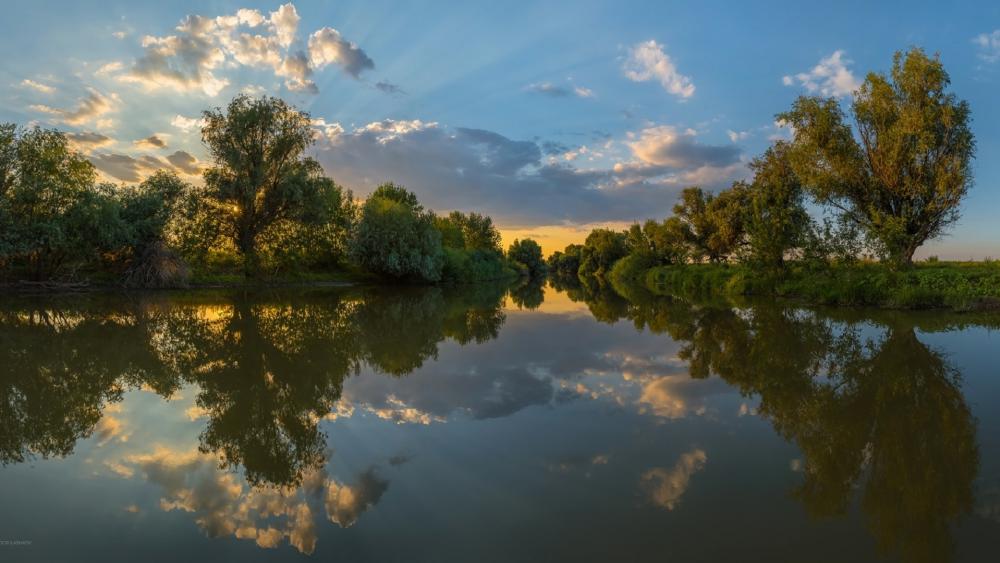 Wallpaper from nature category