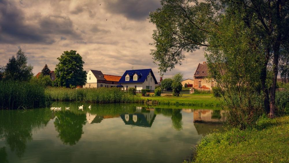 Serene Village by the Tranquil Lake wallpaper