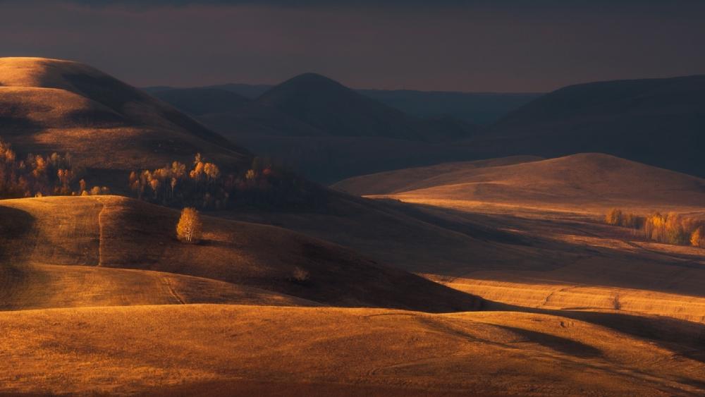 Golden Horizons of Autumn Serenity wallpaper
