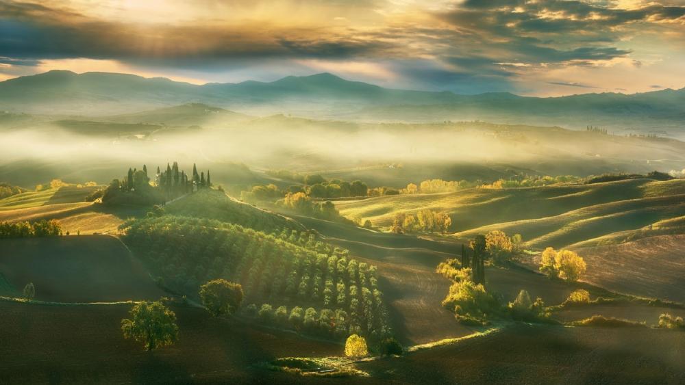 Tuscany hills wallpaper