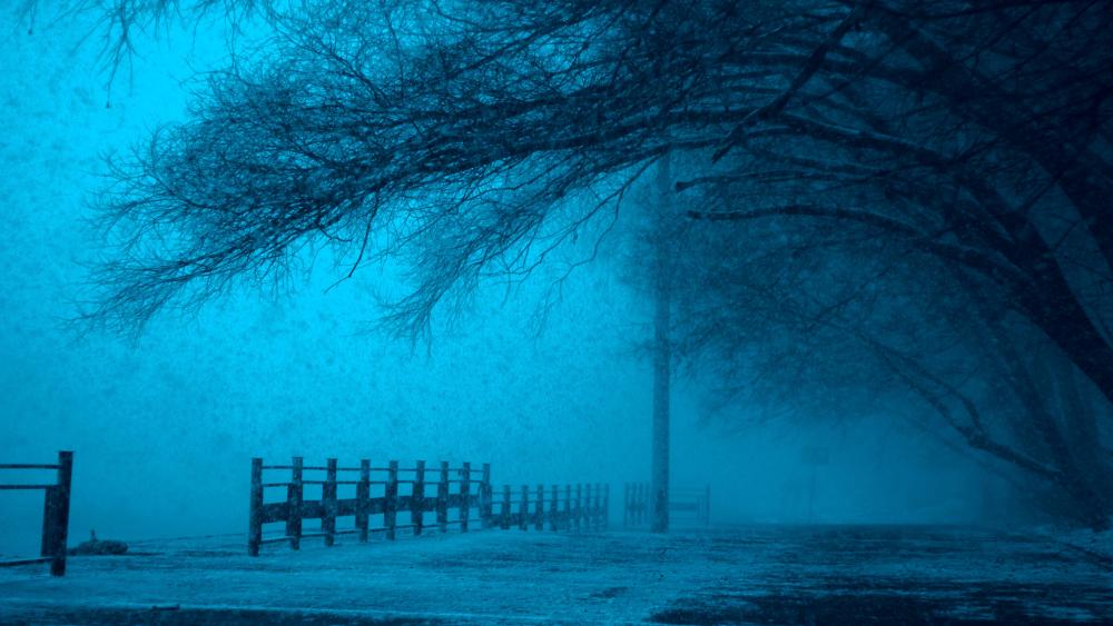 Winter's Silent Blue Embrace wallpaper