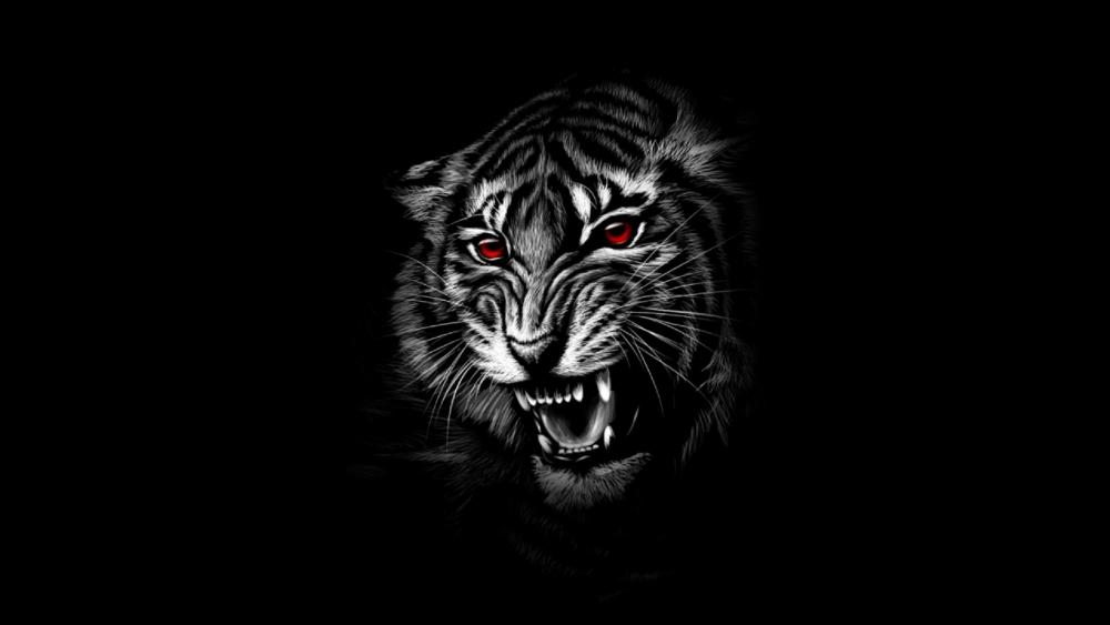 Red eye Tiger wallpaper