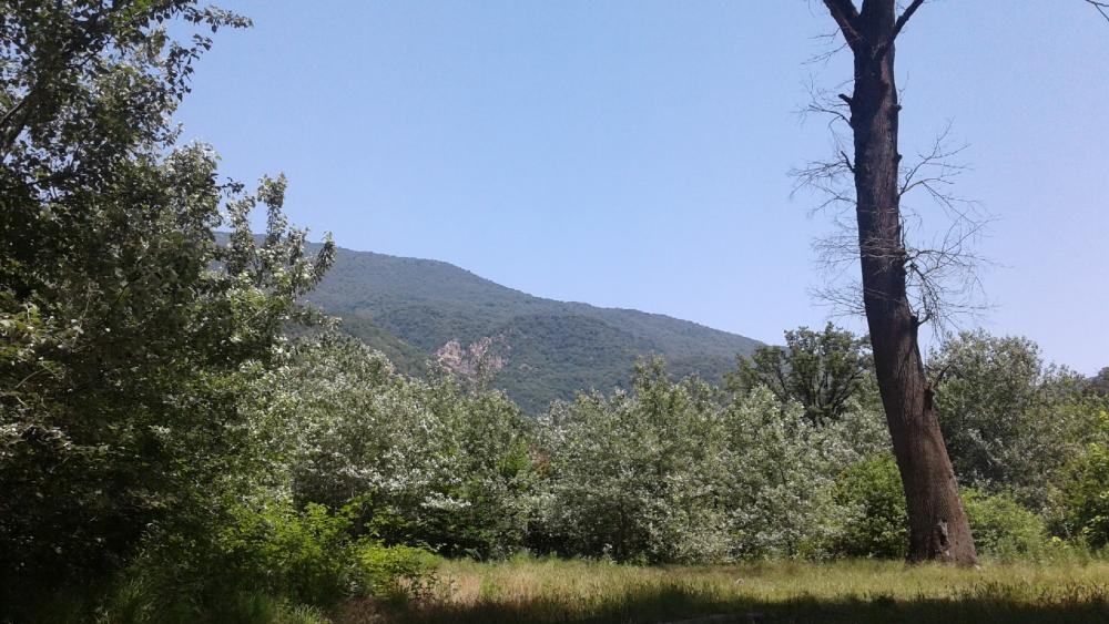 Serene Mountain Landscape Under Clear Blue Sky wallpaper