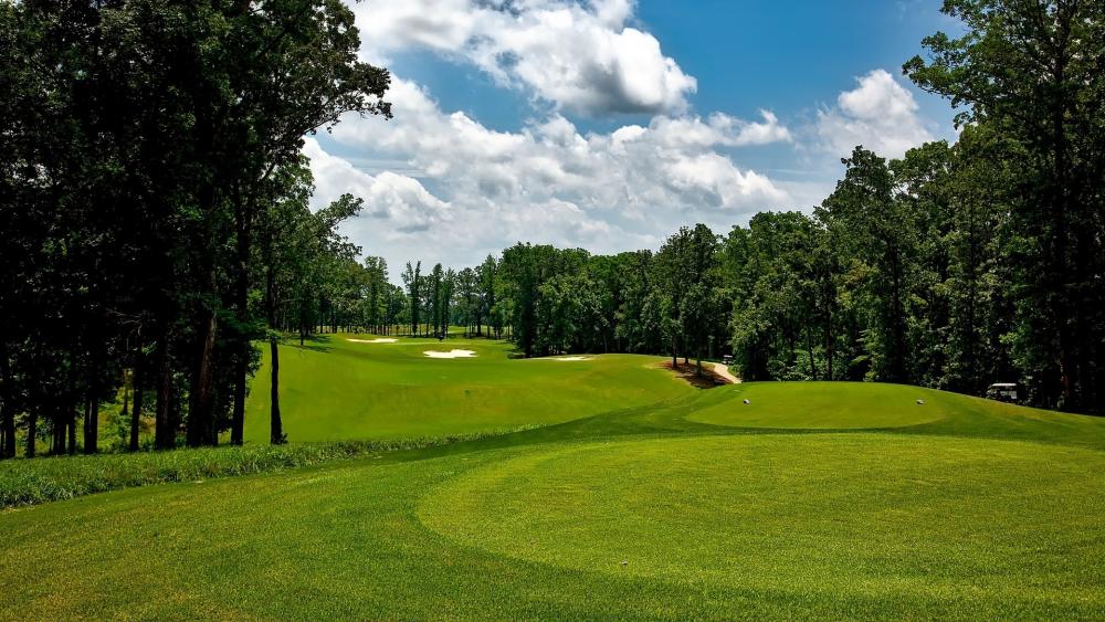 Lush Green Golf Course Under Bright Blue Sky wallpaper