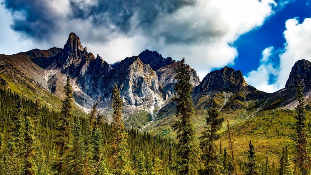 Wallpaper from nature category