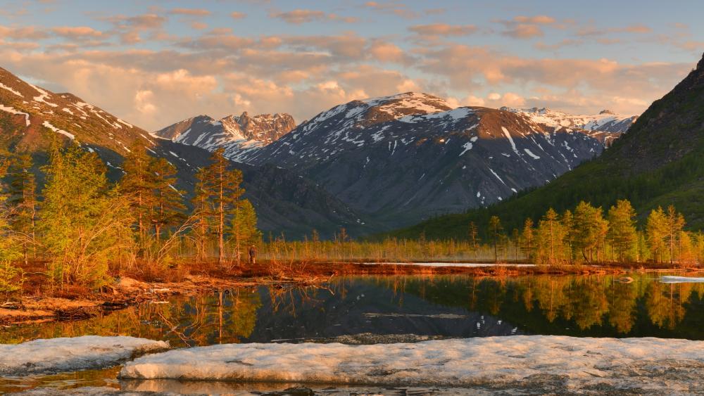 Wallpaper from nature category