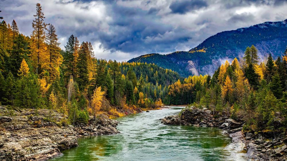Autumn Serenity by the Riverbank wallpaper