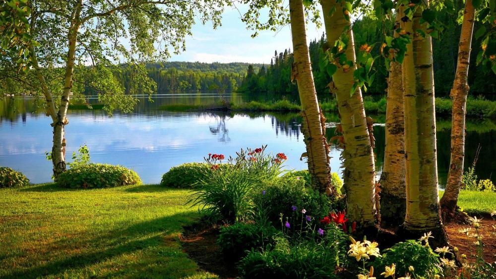 Serene Lakeside View Surrounded by Lush Foliage wallpaper
