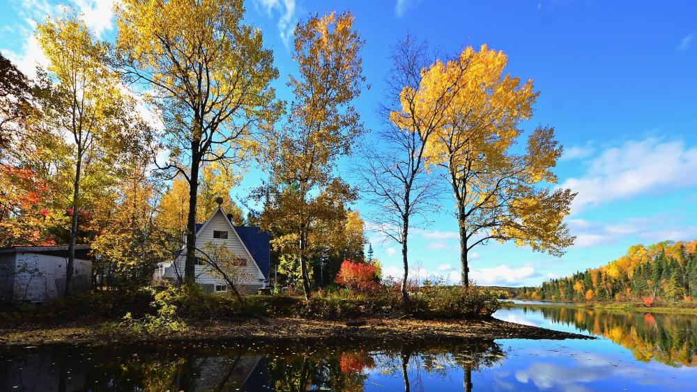 Autumn Bliss by the Serene Lake wallpaper