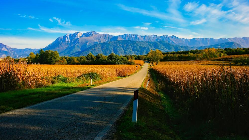 Scenic Road Through Golden Fields and Majestic Mountains wallpaper