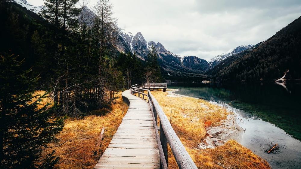 Serene Pathway Through Nature's Beauty wallpaper
